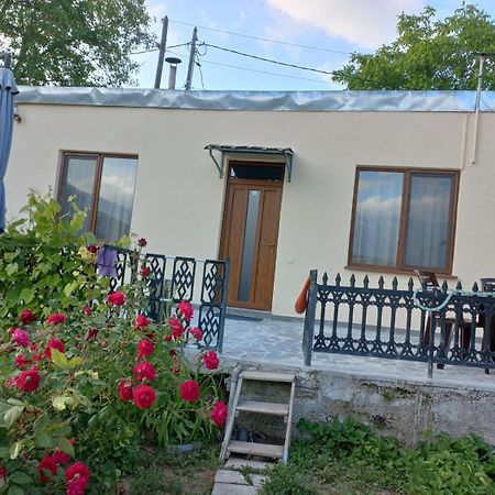 Ana-Maria Bnb Bed & Breakfast Tat'ev Bagian luar foto