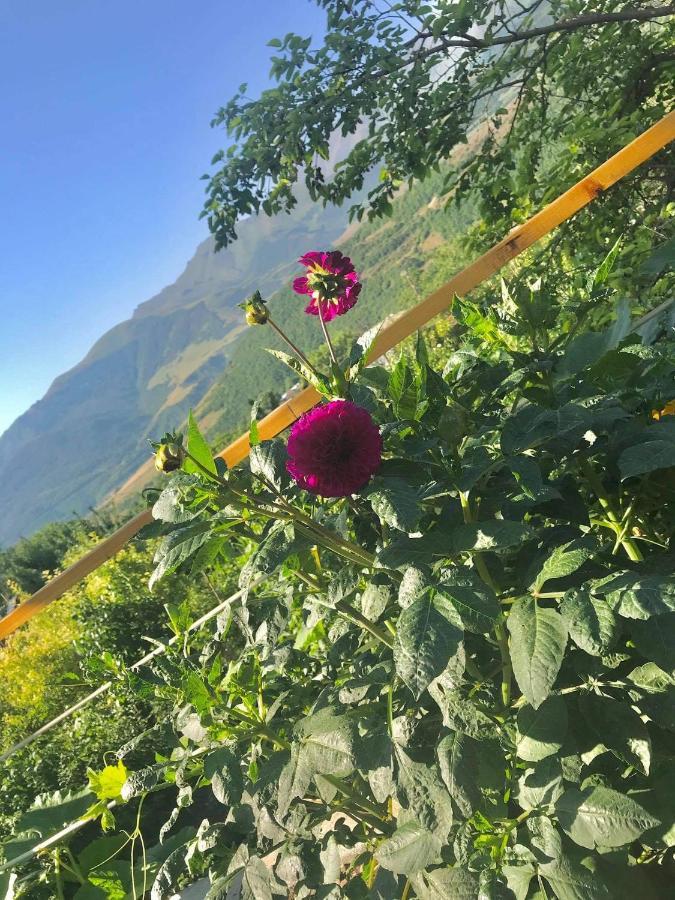 Ana-Maria Bnb Bed & Breakfast Tat'ev Bagian luar foto