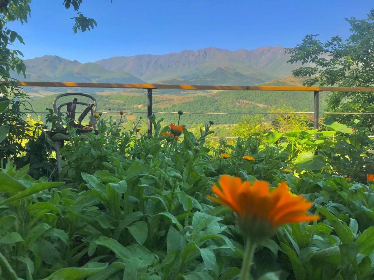 Ana-Maria Bnb Bed & Breakfast Tat'ev Bagian luar foto