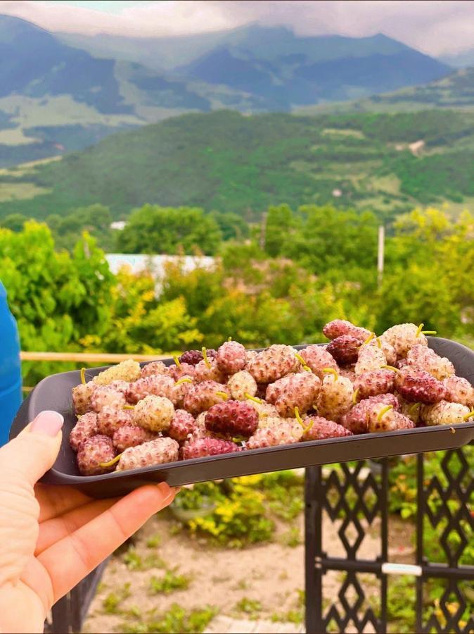 Ana-Maria Bnb Bed & Breakfast Tat'ev Bagian luar foto