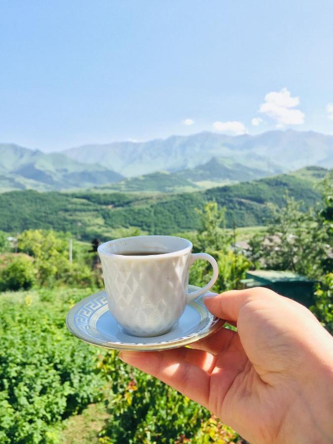 Ana-Maria Bnb Bed & Breakfast Tat'ev Bagian luar foto