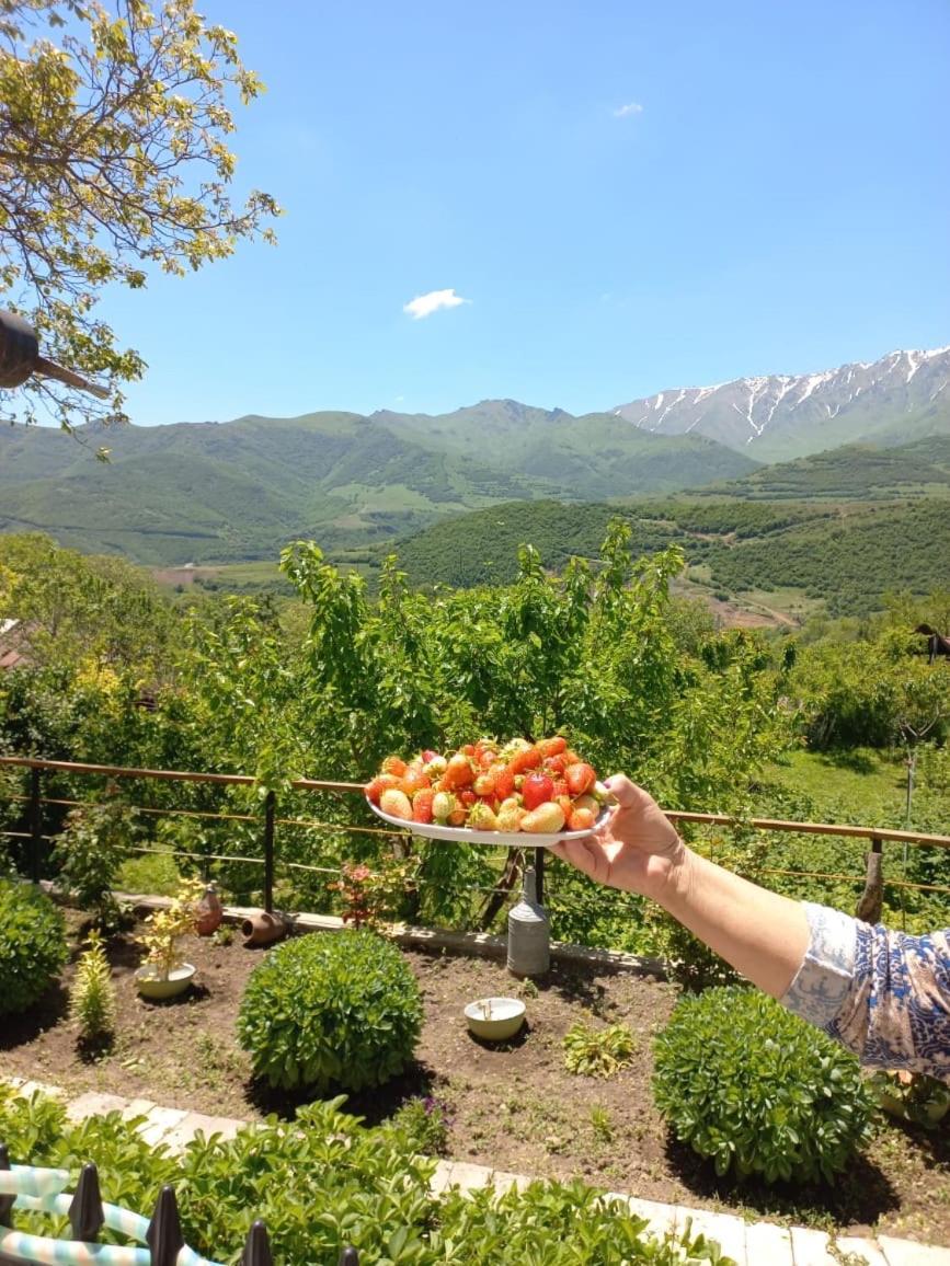 Ana-Maria Bnb Bed & Breakfast Tat'ev Bagian luar foto