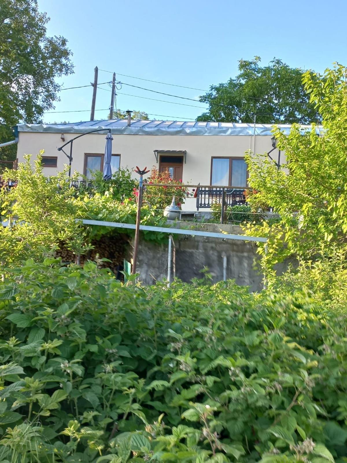 Ana-Maria Bnb Bed & Breakfast Tat'ev Bagian luar foto