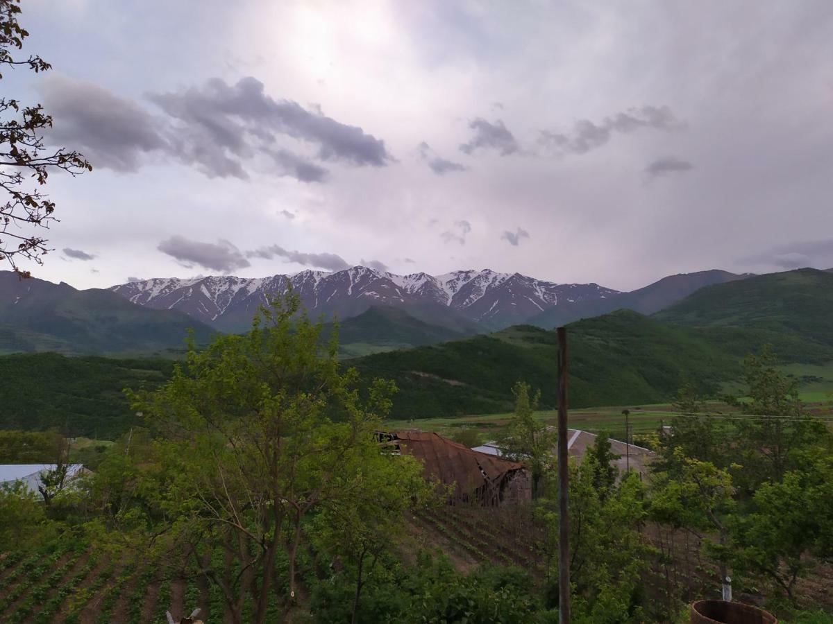 Ana-Maria Bnb Bed & Breakfast Tat'ev Bagian luar foto